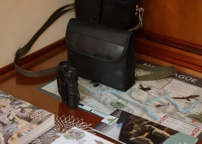 Дом отдыха Casa La Sinagoga De Трухильо